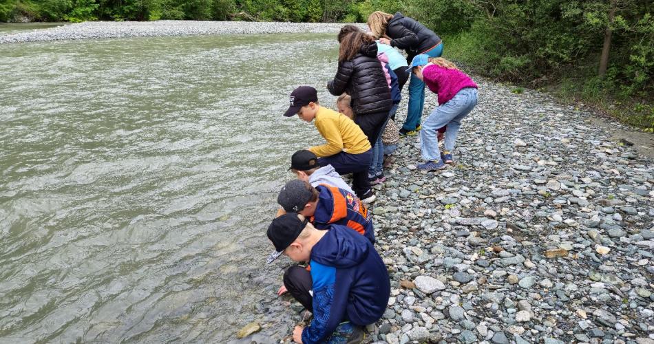 Die Kinder suchen Fliegenlarven im Wasser.