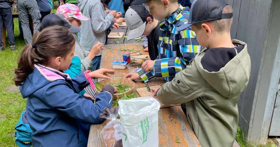 Die Kinder sortieren die Kräuter aus und säubern sie.