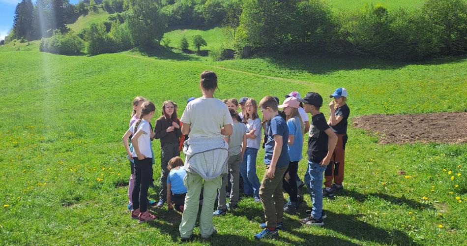 Kinder machen sich auf die Suche nach Wiesenvögeln.