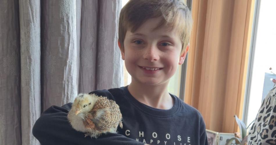 Die Kinder der 3a-Klasse besuchten ihre Schulkollegin Elsa mit ihren Küken.